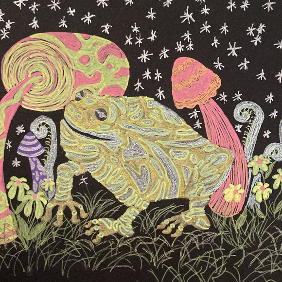 Unframed Original Art Drawing Mystical Frog Ferns n’ Mushrooms Illustration - Picture 3 of 5
